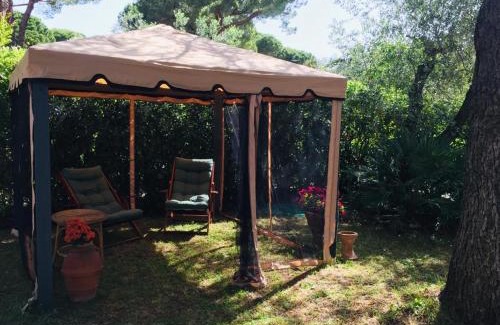 Castiglioncello Apartamento | Cedro del Libano