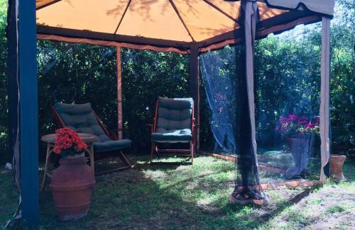 Castiglioncello Apartamento | Cedro del Libano