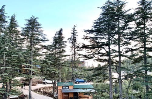 Erdemli Cabina | Cedrus Life Bungalow Tesisleri