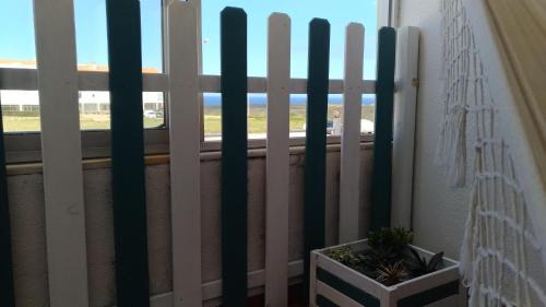 Aljezur Apartamento | Cegonha do mar