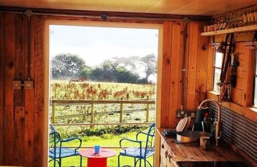 Aberaeron Otro | Celaeron Glamping