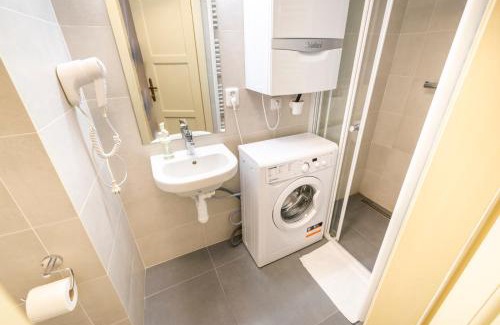 Stare Mesto Apartamento | Celetná - Old Town Residence
