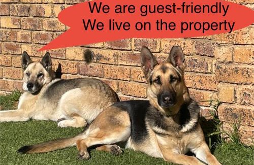 Ekurhuleni Apartamento | Celtis Lane Guest House