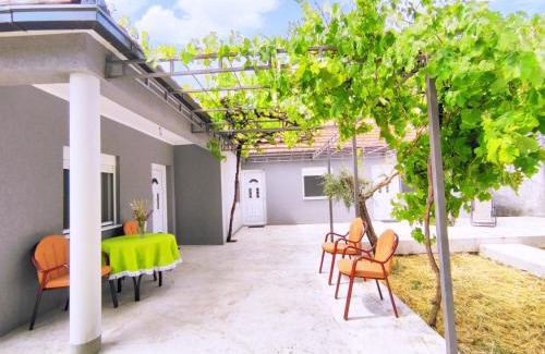 Karuc Casa | Celtis Shade House