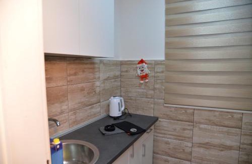 Mladenovac Apartamento | Centar INN