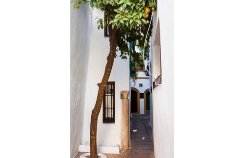 La Trinidad-San Juan y Todos los Santos Condominio | CENTRO- MEZQUITA 4 a 8 HUESPEDES 2 x HAITACION Y SOFA