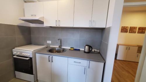 Pancevo Apartamento | Center & River Park View Guesthouse