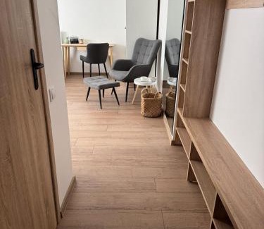 Jelgava Apartamento | Center Studio type apartment
