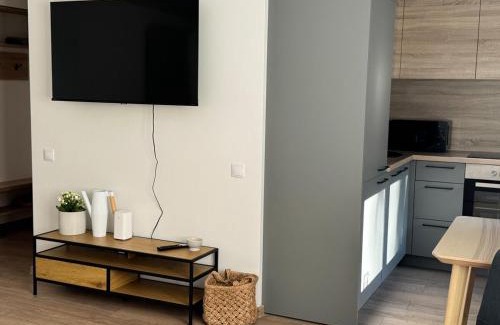 Jelgava Apartamento | Center Studio type apartment