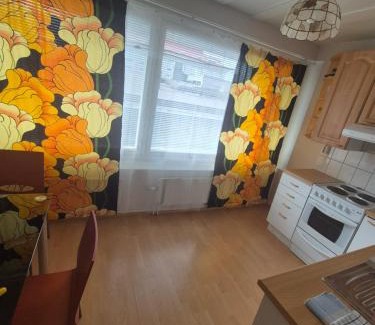 Savonlinna Apartamento | Central Accommodation at Olavinkatu