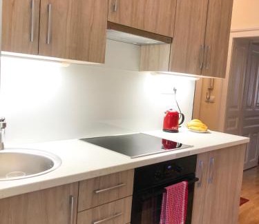 Kosancicev Venac Apartamento | Central and modern