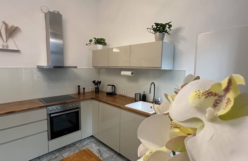 Altlerchenfeld Apartamento | Central apartment in Viennese old building