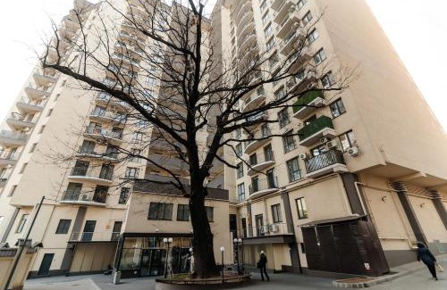 Riscani Apartamento | Central Circ & RentMI