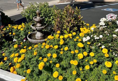 Cayucos Hotel | Central Coast Inn Cayucos