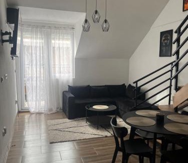 Zajecar Apartamento | Central Duplex Apartment