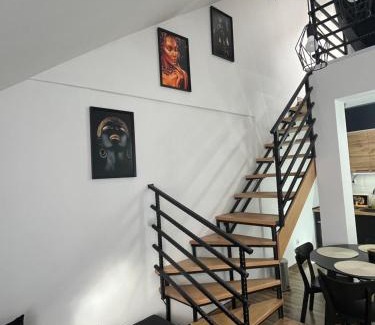 Zajecar Apartamento | Central Duplex Apartment