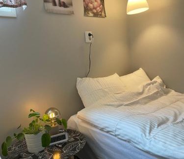 Mariehamn Apartamento | Central floor with sauna, wi-fi and own entrance