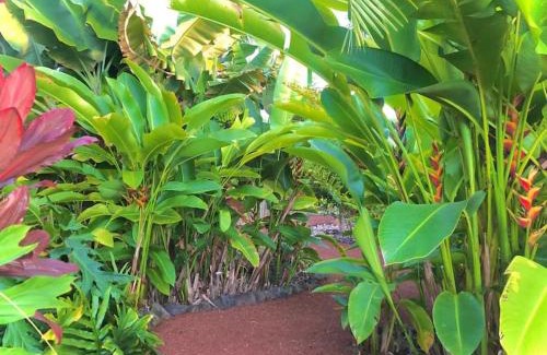 Kailua-Kona Casa | Central Oceanview Modern Cozy 3 Bed House