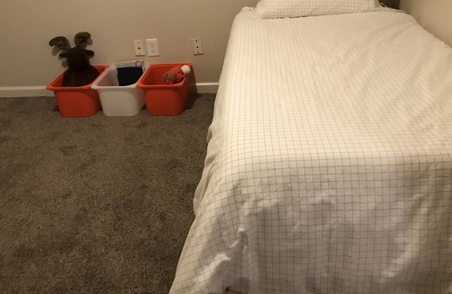 Carbondale Casa | Centrally located and family friendly.