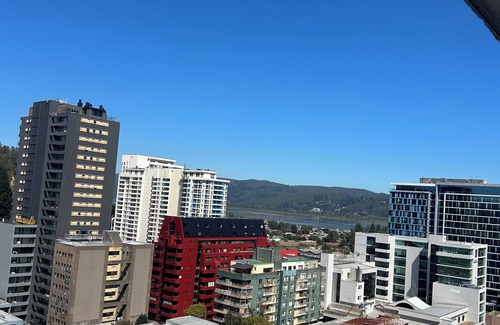 Concepcion Apartamento | Departamento Centrico Con Hermosa Vista En Concepción