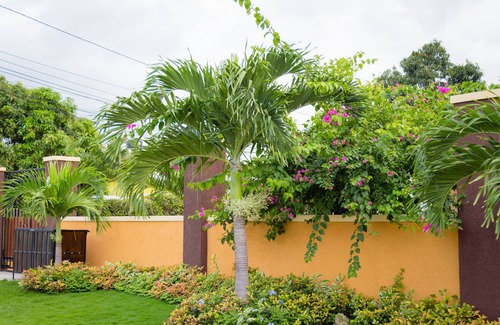 Molynes Gardens Apartamento | Centrally Located Guest Apartments II