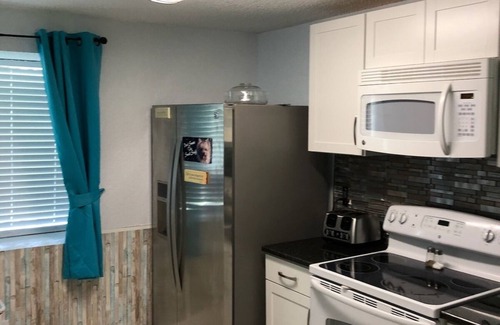 Oldsmar Villa | Situado en el centro de las playas, cerca de Bush Gardens Se admiten mascotas Wifi gratuito
