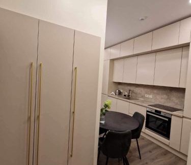 Panevezys Apartamento | Centro apartamentai