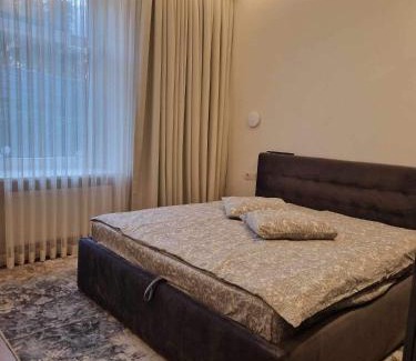 Panevezys Apartamento | Centro apartamentai