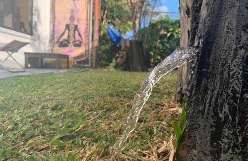 San Antonio de Belen Casa | Centro Holistico Casa Orion