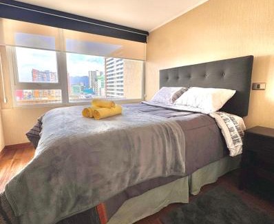 Temuco Apartamento | Centro Temuco 4