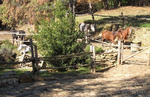 Colonnata Cabina | Centro Trekking a Cavallo Monte Brugiana