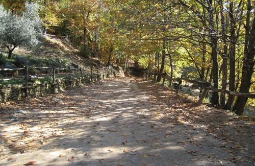 Colonnata Cabina | Centro Trekking a Cavallo Monte Brugiana