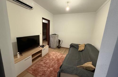 Tondela Apartamento | Cepas do Salgueiral - Guest House - Apartamento Centro de Tondela