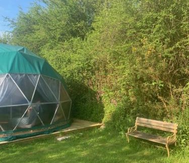 Llangeler Otro | Ceridwen Glamping, double decker bus and Yurts