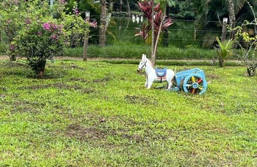 Cachoeiras de Macacu Casa | Chácara Belas Águas
