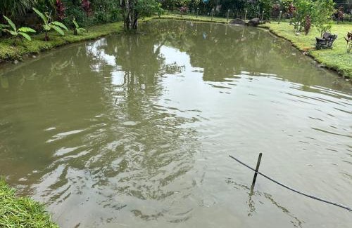 Cachoeiras de Macacu Casa | Chácara Belas Águas