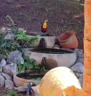 Taubate Casa | Chácara na Santa Luzia Rural - Taubaté - SP