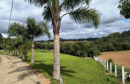 Araucaria Apartamento | Chácara Santo Antonio