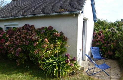 Plouezec Cama Y Desayuno | Châtaigne