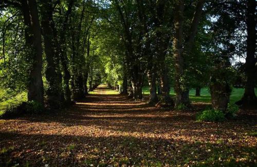 Bouillancourt-en-Sery Cama Y Desayuno | Château de Bouillancourt en Sery