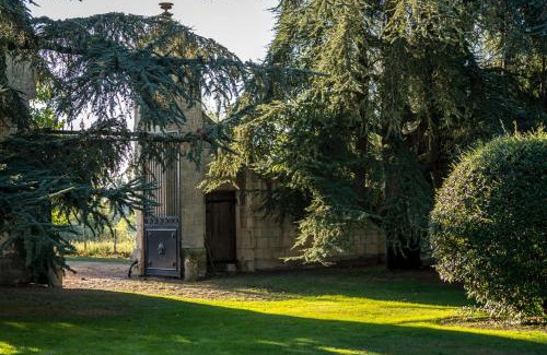 Vivy Casa | Château de la Ronde
