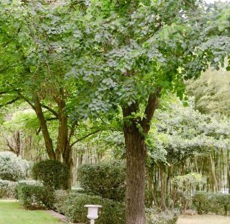 Tornac Casa | Château La Bruguière