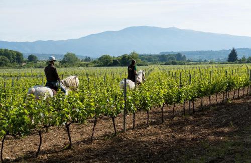 Mazan Casa | Château La Croix Des Pins