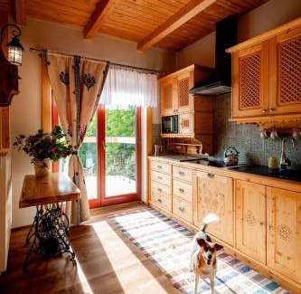 Witow Apartamento | Chałupa na wsi u Papierzy Sauna, Jacuzzi, SPA