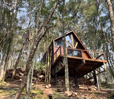 Garibaldi Chalet De Esquí | Chalé Araucária