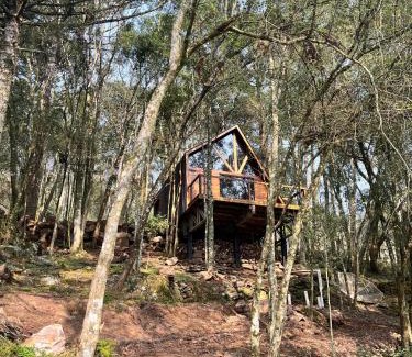Garibaldi Chalet De Esquí | Chalé Araucária