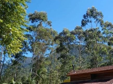 Timbe do Sul Chalet De Esquí | Chalé Casa de Pedra, Vivenda Serra Velha, Chalés de Montanha