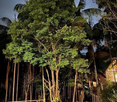 Garopaba Chalet De Esquí | Chalé com Hidro em Garopaba há 100m da cachoeira