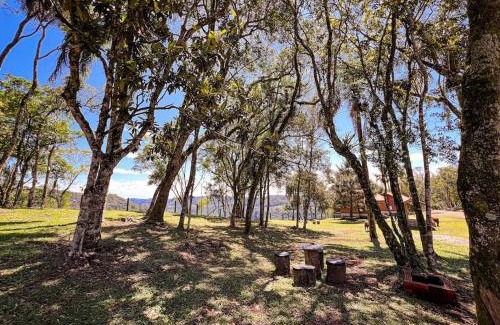 Nova Petropolis Chalet De Esquí | Chalé da Mata em Nova Petrópolis