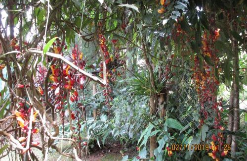 Maringa Casa | Chalé dos Gnomos
